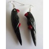 Oorbellen Black Parrots